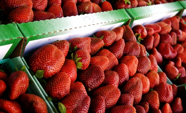 Kомисията по тържищата и стоковите борси ще бъде закрита