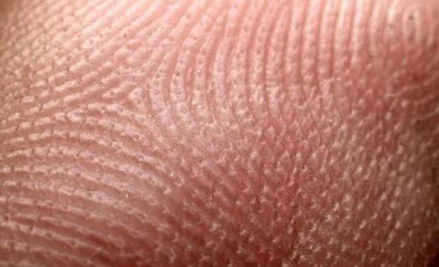 Учени от университета на Северна Каролина установиха виновника за активирането