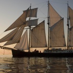 Варна очаква 400 хиляди гости за регатата Tall Ships