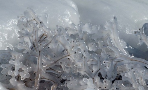 Студът в Румъния взе 13 жертви 