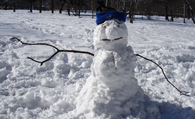 Недоволни русенци правят снежни човеци пред общината