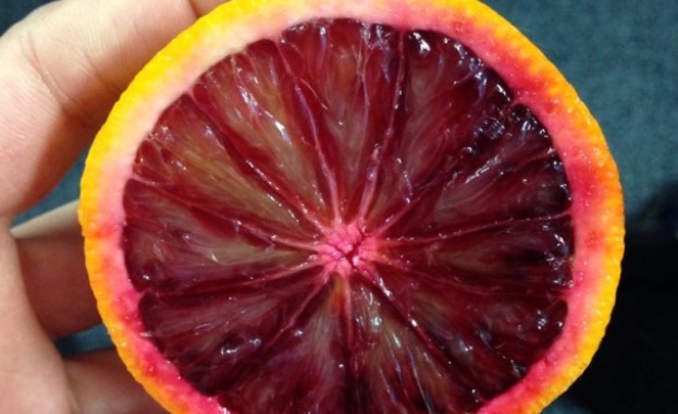 Внимание: Отровни портокали заляха пазара