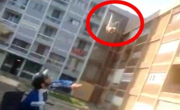 Французин влиза за година в затвора за издевателства над коте 