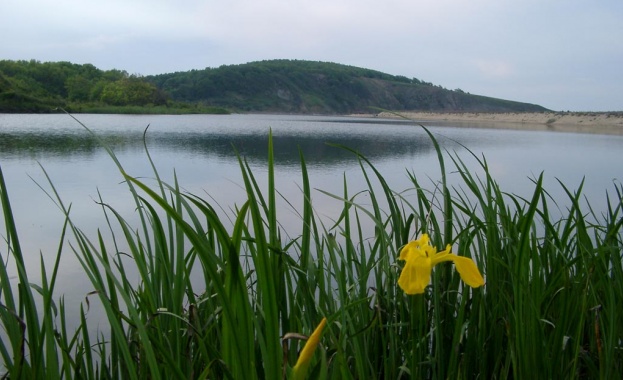 БСП: Освобождаването на директора на парк Странджа не е политически акт