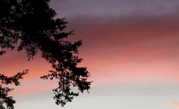 Предстоящи събития в страната за днес, 5 февруари  