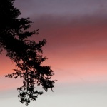 Предстоящи събития в страната за днес, 5 февруари  