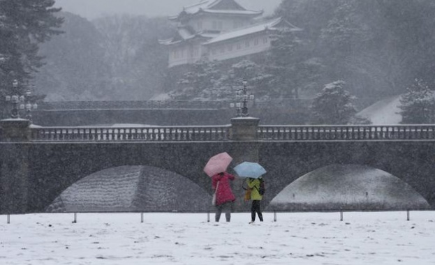 Обилните снеговалежи в Япония взеха жертви 