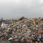 Да изчистим мозъците си за един ден