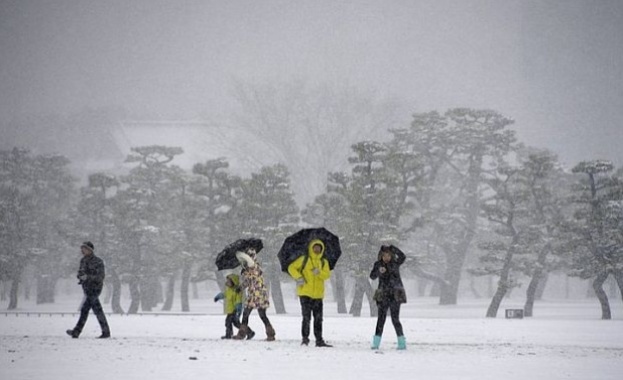 Снеговалежите в Япония взеха 13 жертви 