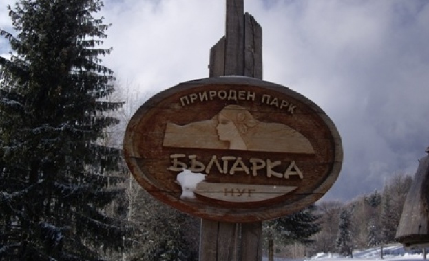 Протестиращи гониха мафията пред централата на парк "Българка"