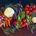 Експерт: Презапасяването с храна и пазаруването на промоция не води до пестене на пари