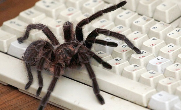 Руснаците вече няма да могат да се крият в чужбина от данъчните 