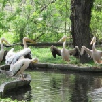 Общи туристически оферти предлагат на природолюбителите страните от Дунавския регион