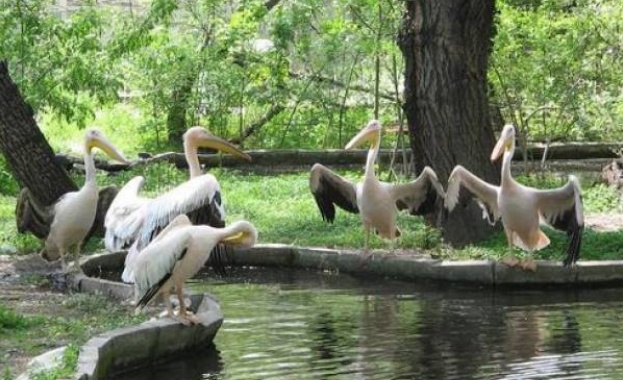 България внесе в ЮНЕСКО номинации за 4 резервата