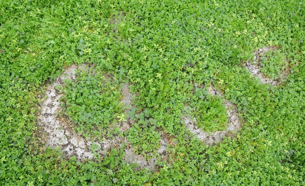 Нови странни кръгове се появиха на морава в Хасковско