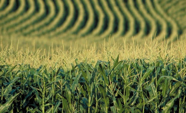 Браншови организации обсъдиха промените в наредбите, свързани с директните плащания