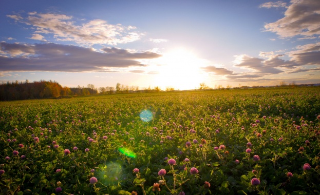 МЗХ: Пасища от държавния и общинския поземлен фонд да се отдават без търг на животновъди