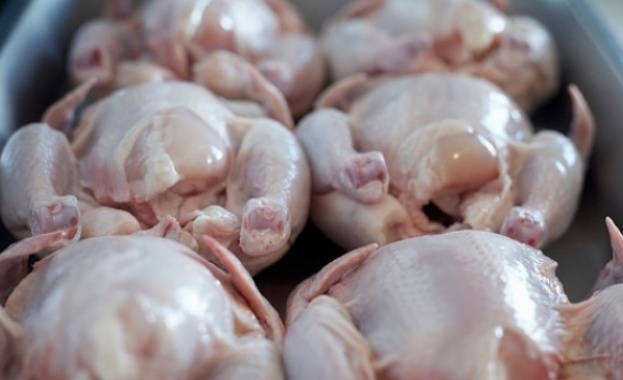 Унищожават 10 тона пилешко от Полша със салмонела 