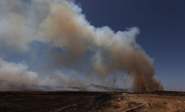 Над 400 000 деца в Ливан са били разселени от