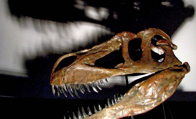 Намериха останките на най-големия месояден динозавър в Европа