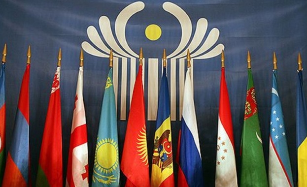 Интерпол проучва искането на Украйна за арест на Янукович