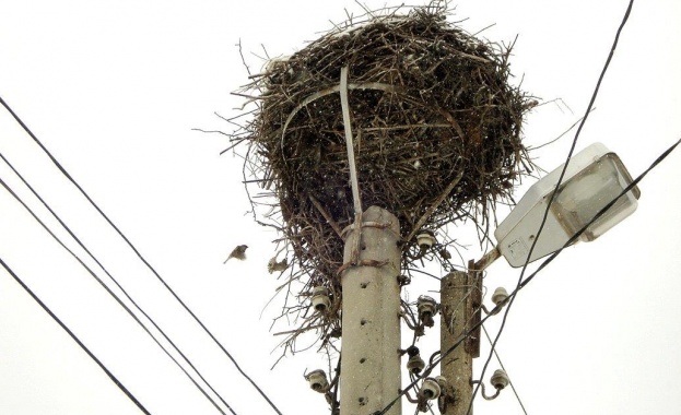 ЧЕЗ обезопаси 106 щъркелови гнезда