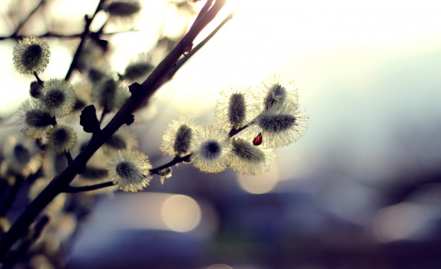 Предстоящи събития в страната за утре, 10 март 