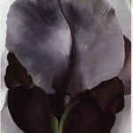 Рождениците днес