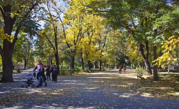 Общински съветник от БСП: Кой „лесничей” нареди изсичането в Цар Симеоновата градина 