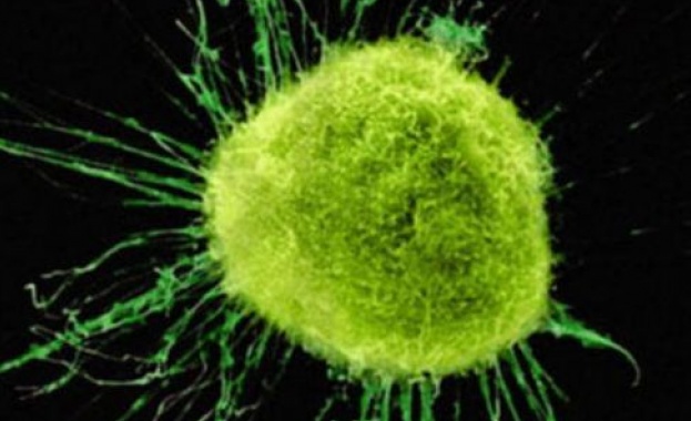 Откриха нов метод за борба с рака 