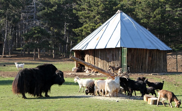 Люлки ще развличат животните в старозагорския зоопарк