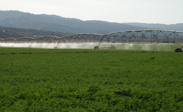 Работниците от „Напоителни системи" в Пазарджик излизат на протест