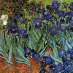 Рождениците днес