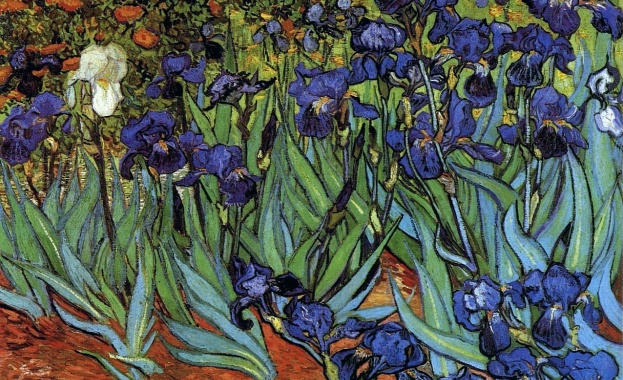 Рождениците днес