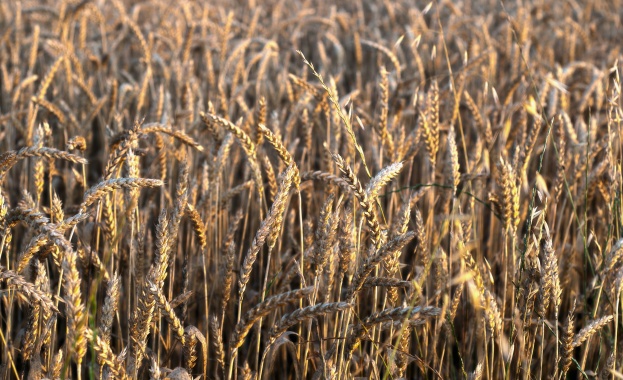 Комасацията е задължително условие за професионално земеделие 