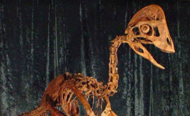 Откриха 4-метров скелет на "пиле от ада"