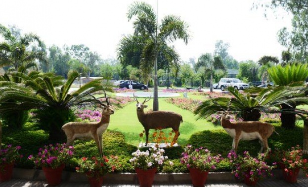 Котката на Наваз Шариф изяде пауна му