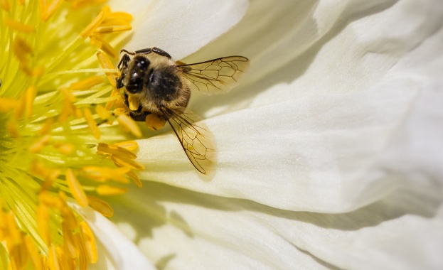 Предстоящи събития в страната за утре, 22 март