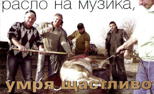 Заглавие с депутатско прасе оглави класация