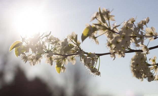 Предстоящи събития в страната за днес, 24 март