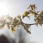 Предстоящи събития в страната за днес, 24 март