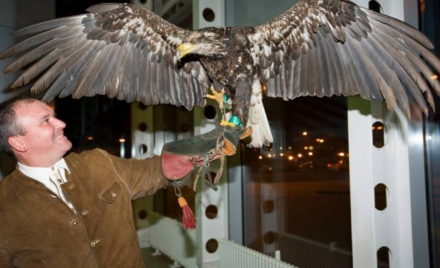 Фенове избират име на орлицата на Лудогорец 