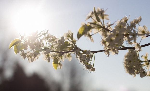Днес да почерпят... 
