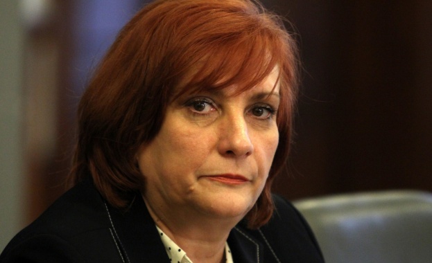 Искра Михаилова: Проект „Карадере” няма 