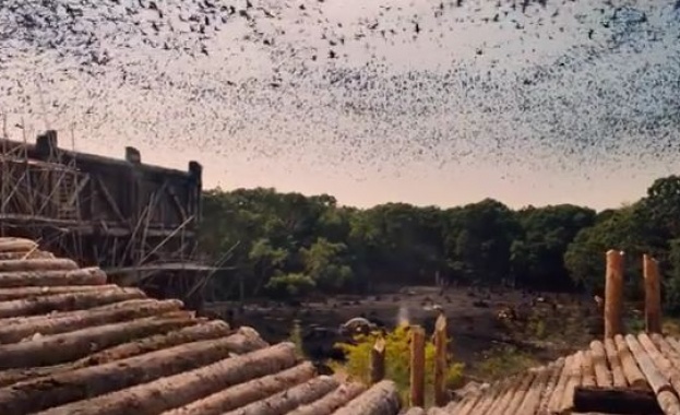 Двама автори с две мнения за полемичния филм "Ной"