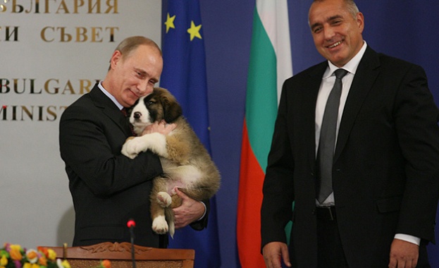 Бойко подарил на Путин мелез менте