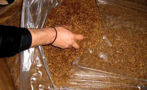 Незаконен тютюн иззеха във видинско село