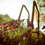 Днес да почерпят 