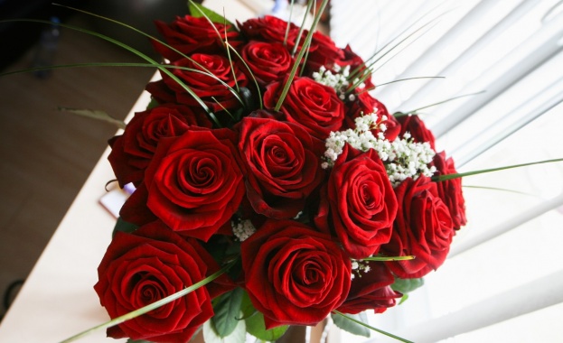 Рождениците днес 