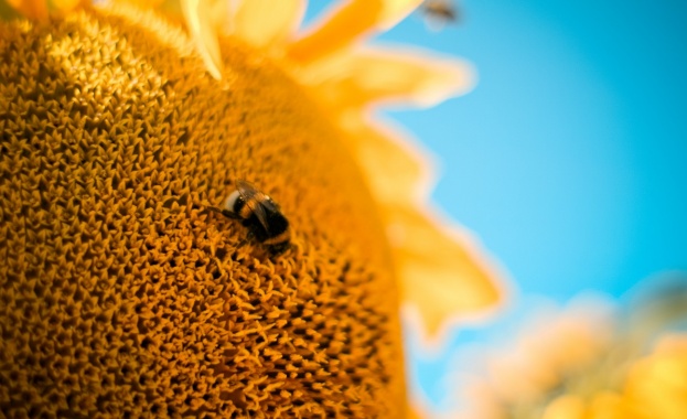 Предстоящи събития в страната 